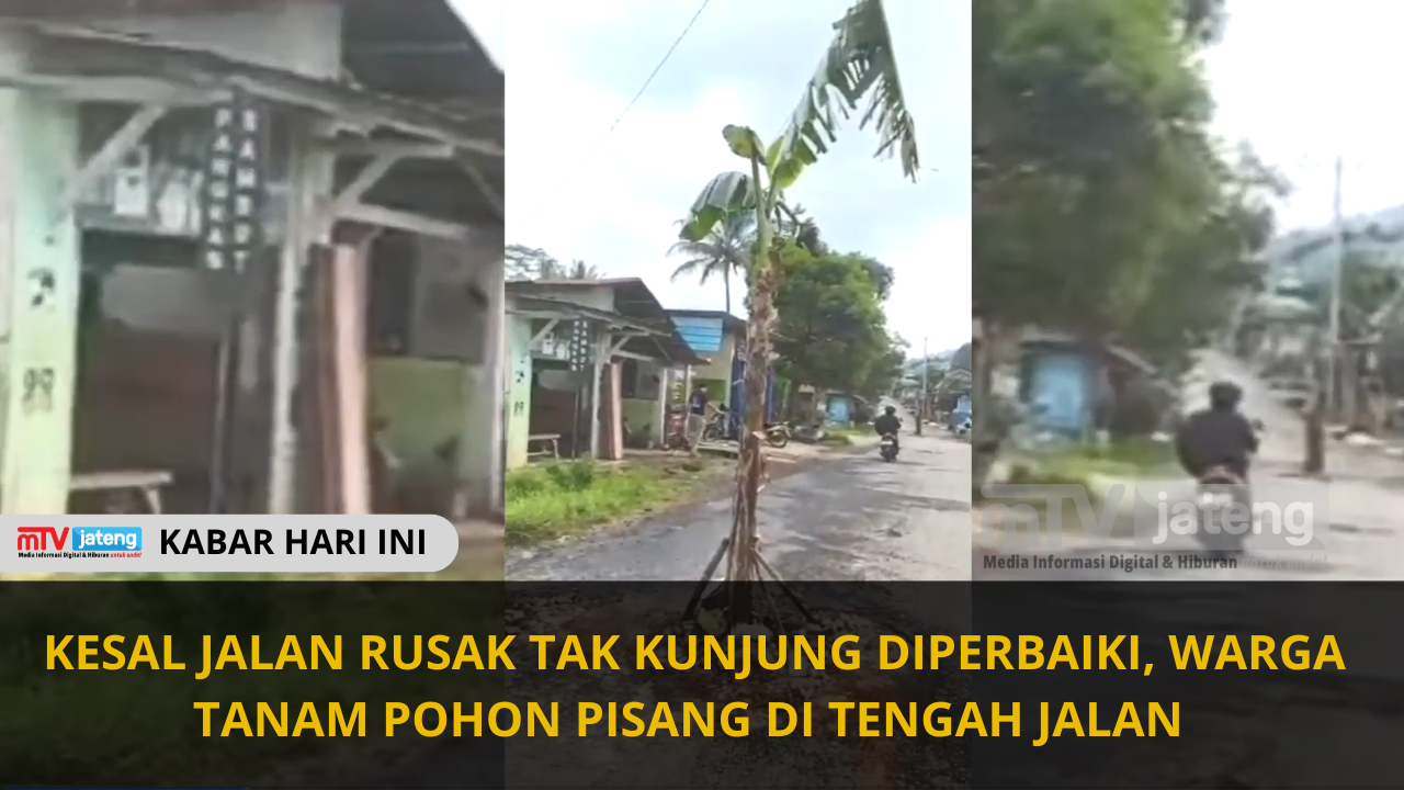 Kesal Jalan Rusak tak Kunjung diperbaiki, Warga Tanam Pohon Pisang di Tengah Jalan